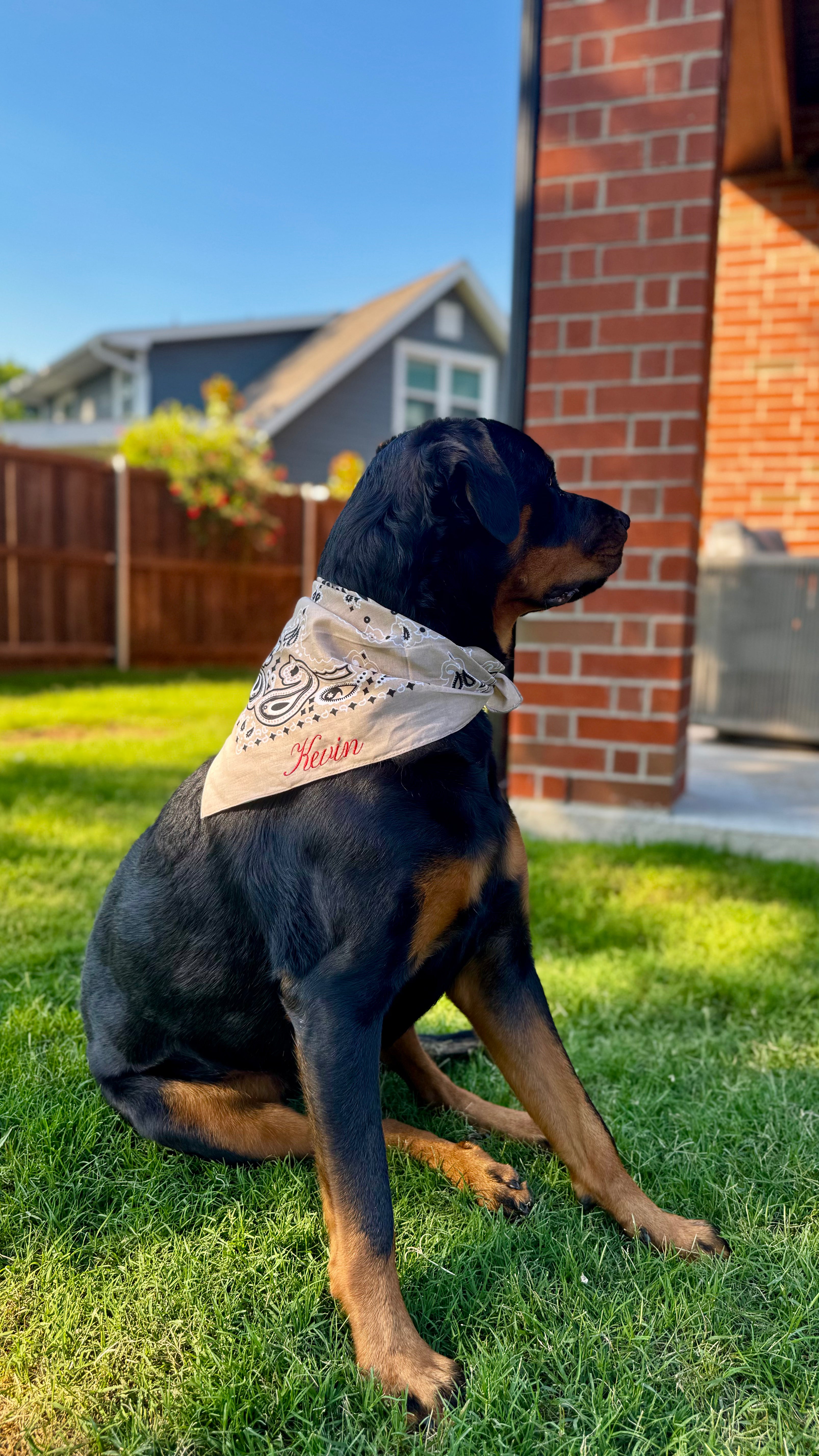 Bandanas